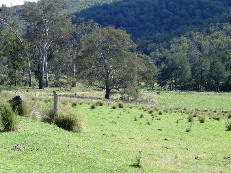 741 Harness Cask Road, Dorrigo, Dorrigo NSW 2453