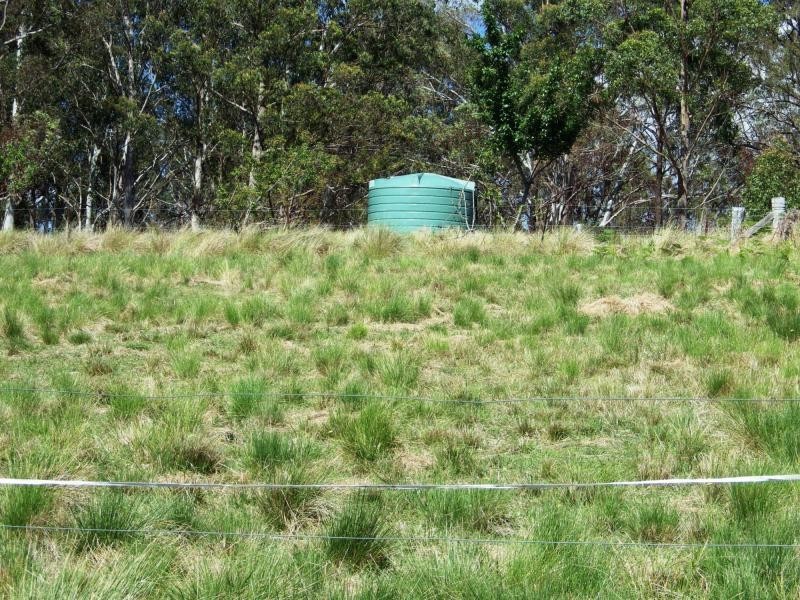 741 Harness Cask Road, Dorrigo, Dorrigo NSW 2453