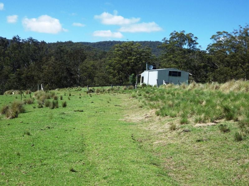 741 Harness Cask Road, Dorrigo, Dorrigo NSW 2453