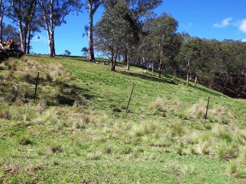 741 Harness Cask Road, Dorrigo, Dorrigo NSW 2453