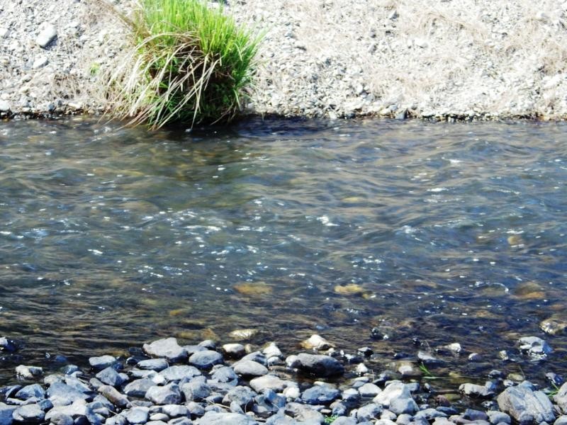 741 Harness Cask Road, Dorrigo, Dorrigo NSW 2453