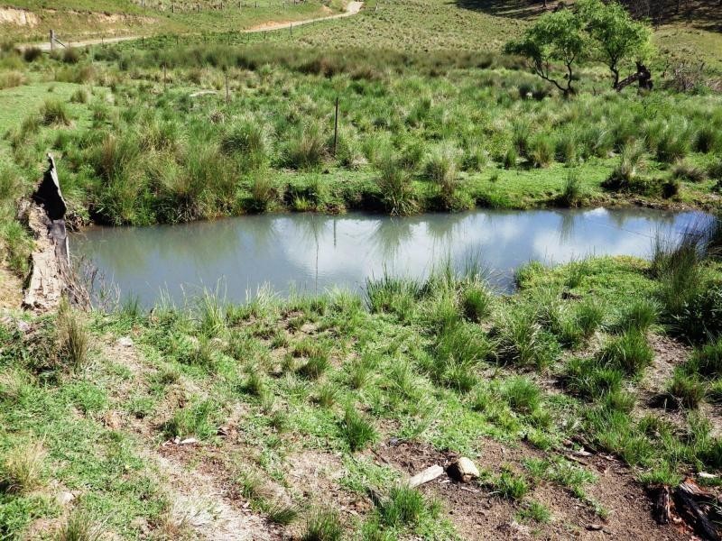 741 Harness Cask Road, Dorrigo, Dorrigo NSW 2453