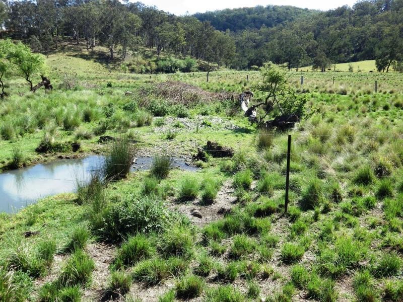 741 Harness Cask Road, Dorrigo, Dorrigo NSW 2453