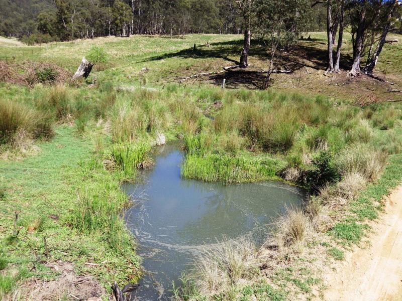 741 Harness Cask Road, Dorrigo, Dorrigo NSW 2453