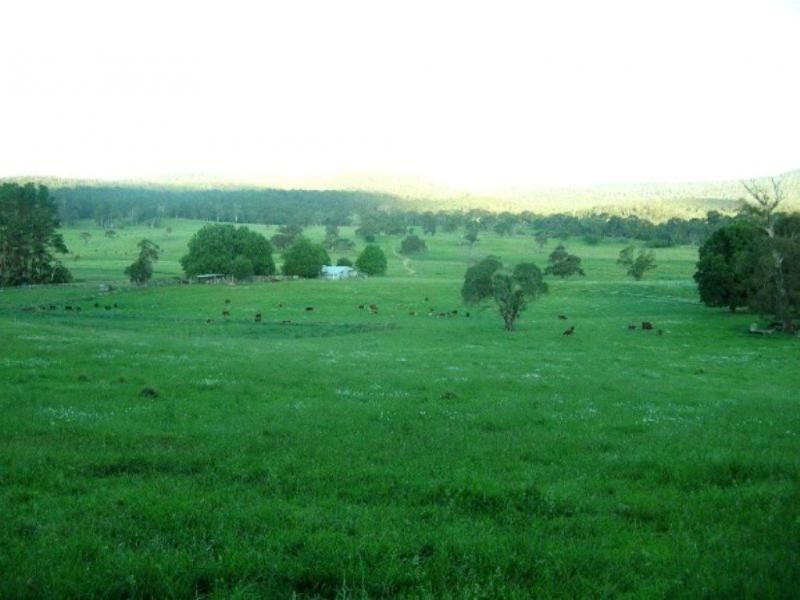 1825 Marengo Road, Dorrigo NSW 2453