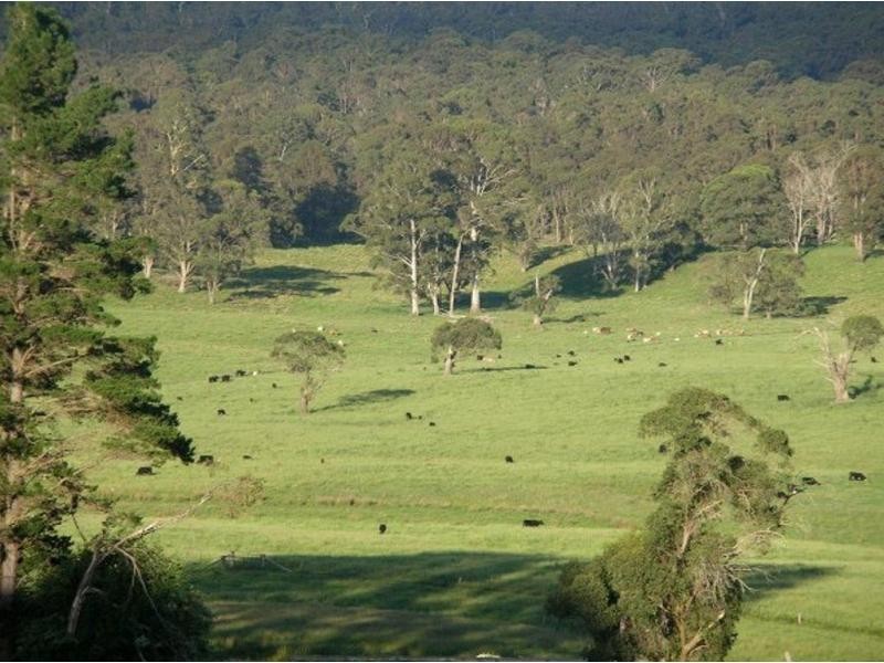 1825 Marengo Road, Dorrigo NSW 2453