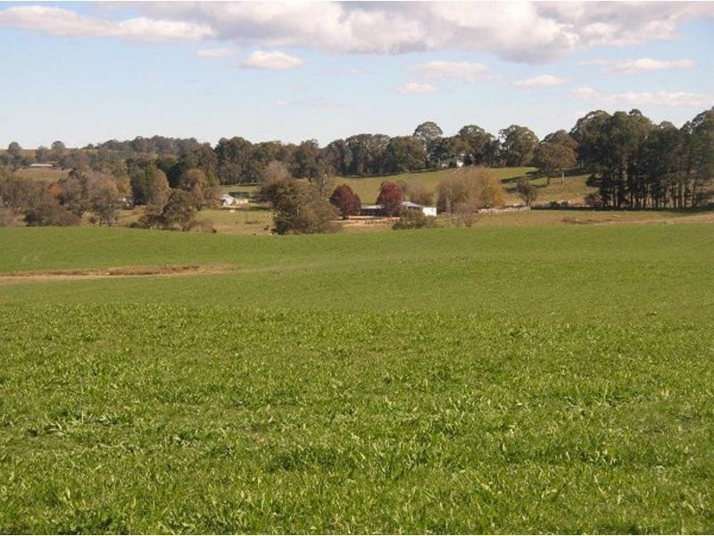 1825 Marengo Road, Dorrigo NSW 2453