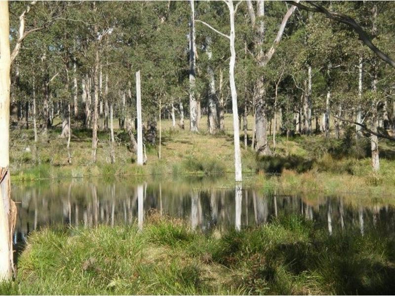 1825 Marengo Road, Dorrigo NSW 2453