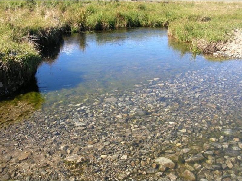 1825 Marengo Road, Dorrigo NSW 2453