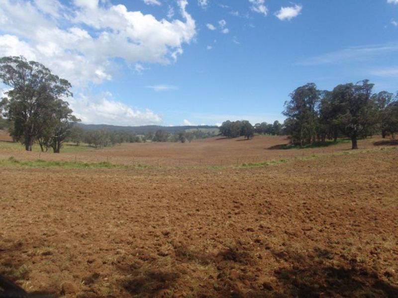 1825 Marengo Road, Dorrigo NSW 2453