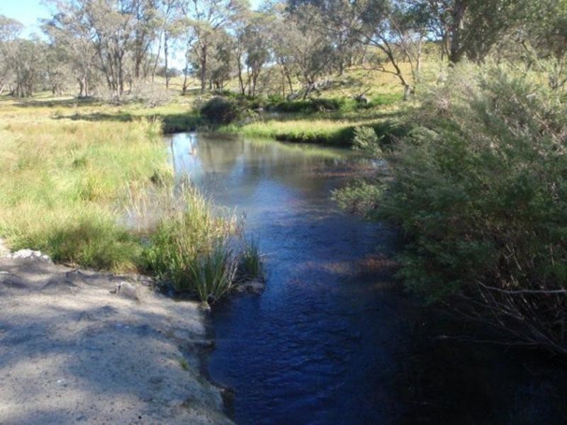 1825 Marengo Road, Dorrigo NSW 2453