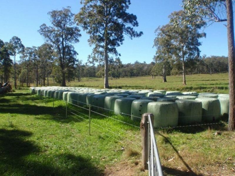 1825 Marengo Road, Dorrigo NSW 2453