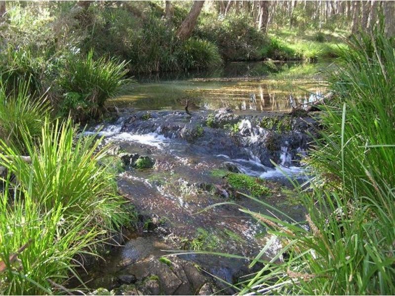 1825 Marengo Road, Dorrigo NSW 2453