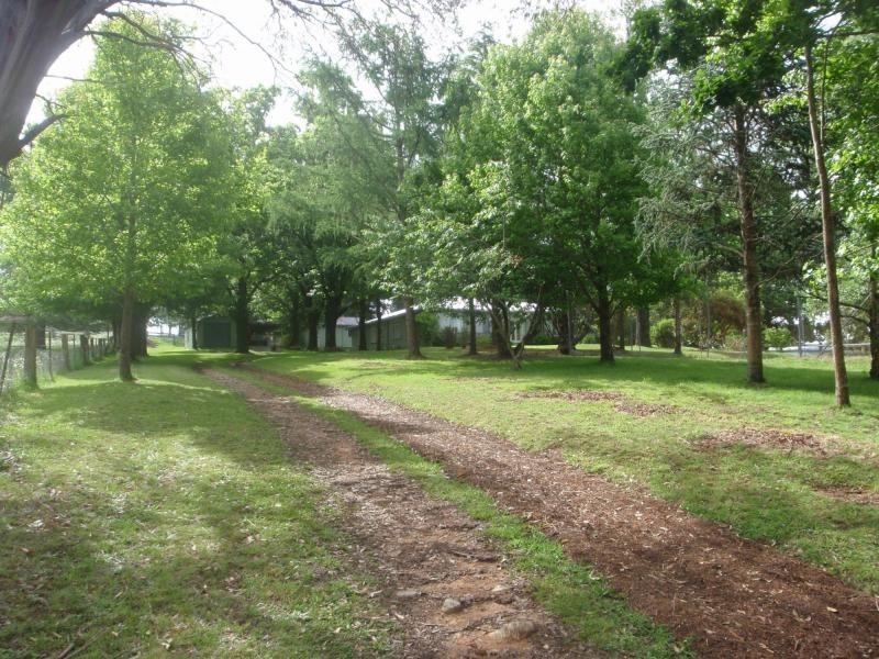 1825 Marengo Road, Dorrigo NSW 2453