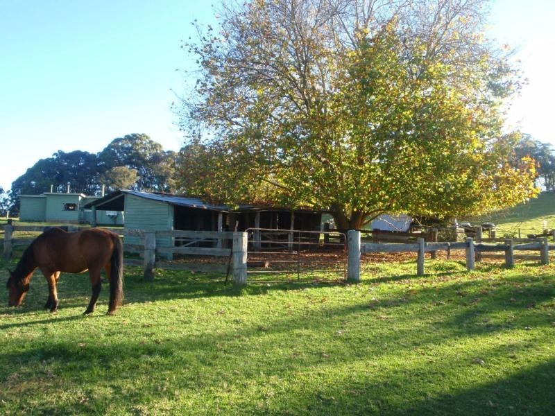1825 Marengo Road, Dorrigo NSW 2453