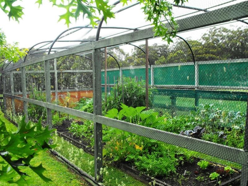 1442 Tyringham Road, Dorrigo, Dorrigo NSW 2453