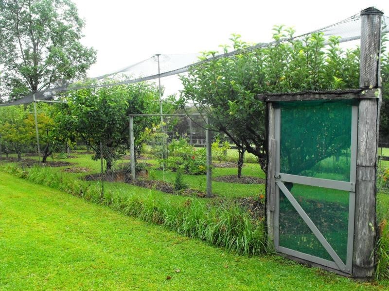 1442 Tyringham Road, Dorrigo, Dorrigo NSW 2453