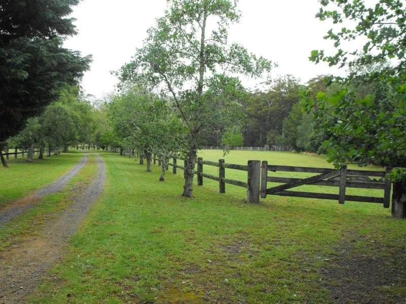 1442 Tyringham Road, Dorrigo, Dorrigo NSW 2453