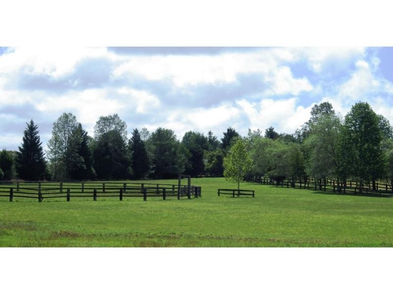 1442 Tyringham Road, Dorrigo, Dorrigo NSW 2453