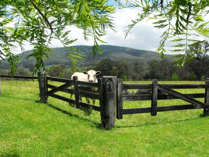 1442 Tyringham Road, Dorrigo, Dorrigo NSW 2453