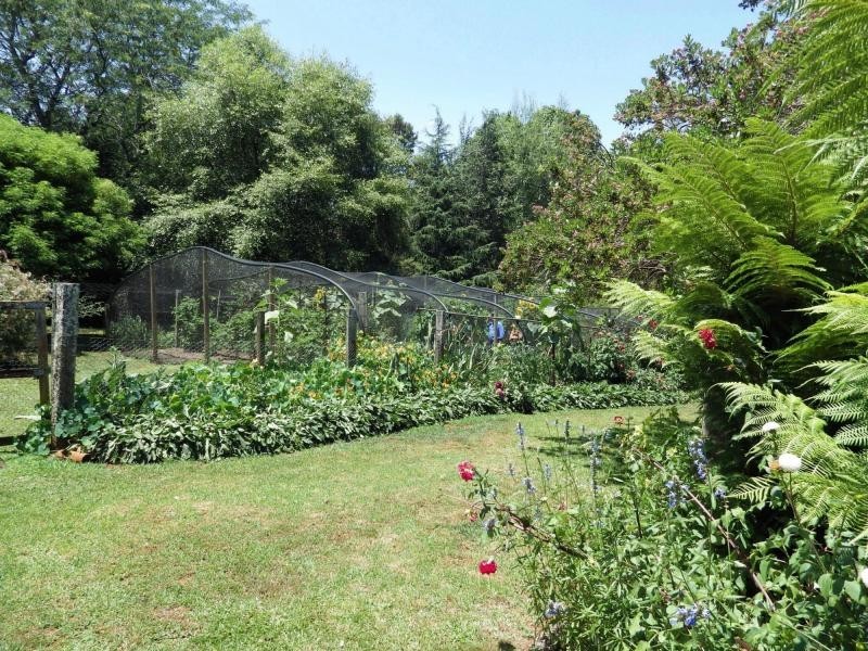 1 Tamarind Avenue, Dorrigo, Dorrigo NSW 2453