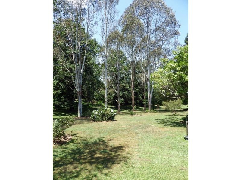 1 Tamarind Avenue, Dorrigo, Dorrigo NSW 2453