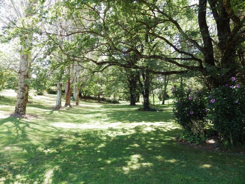 1 Tamarind Avenue, Dorrigo, Dorrigo NSW 2453