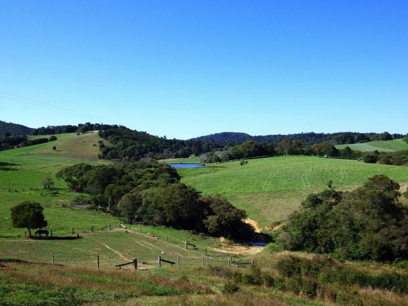 304 Slingsby’s Road, Dorrigo, Dorrigo NSW 2453