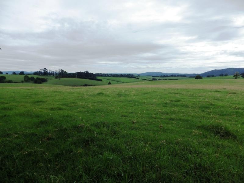 166 Old Coast Road, Dorrigo, Dorrigo NSW 2453