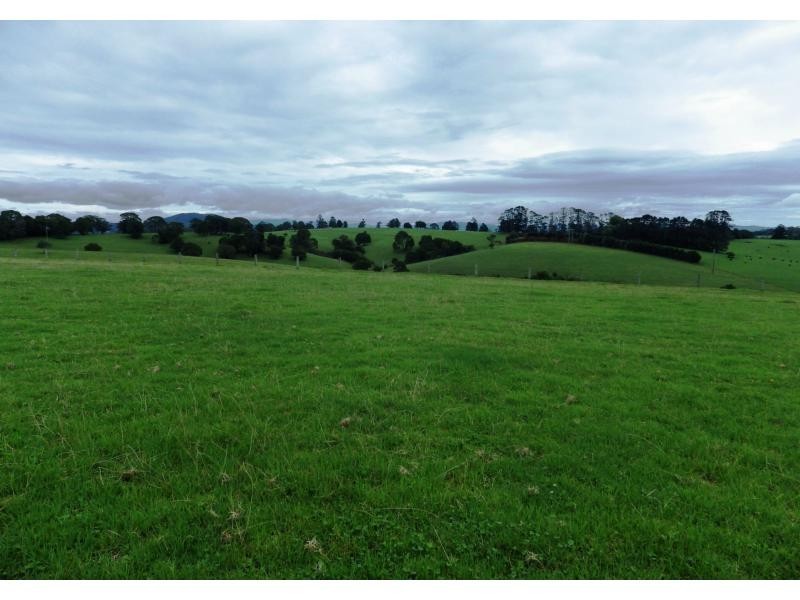 166 Old Coast Road, Dorrigo, Dorrigo NSW 2453