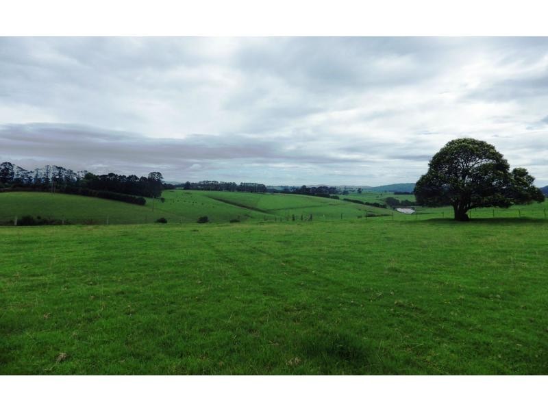 166 Old Coast Road, Dorrigo, Dorrigo NSW 2453