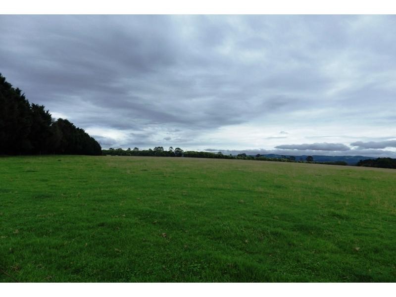 166 Old Coast Road, Dorrigo, Dorrigo NSW 2453