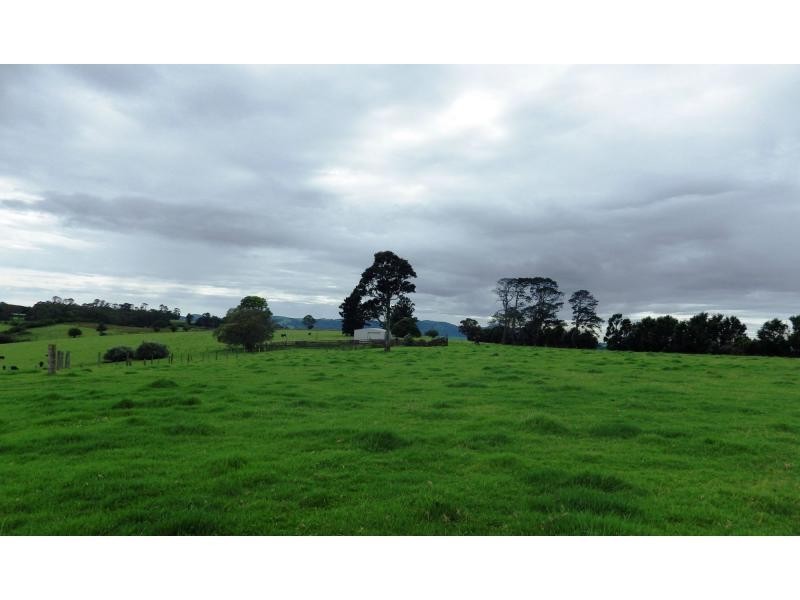 166 Old Coast Road, Dorrigo, Dorrigo NSW 2453