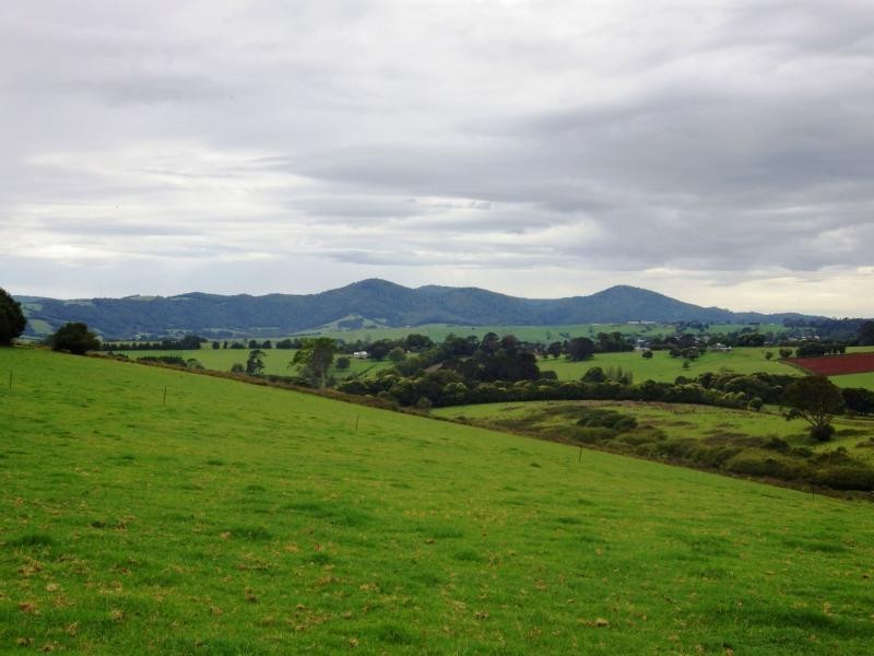 166 Old Coast Road, Dorrigo, Dorrigo NSW 2453
