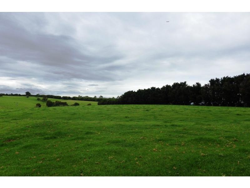 166 Old Coast Road, Dorrigo, Dorrigo NSW 2453