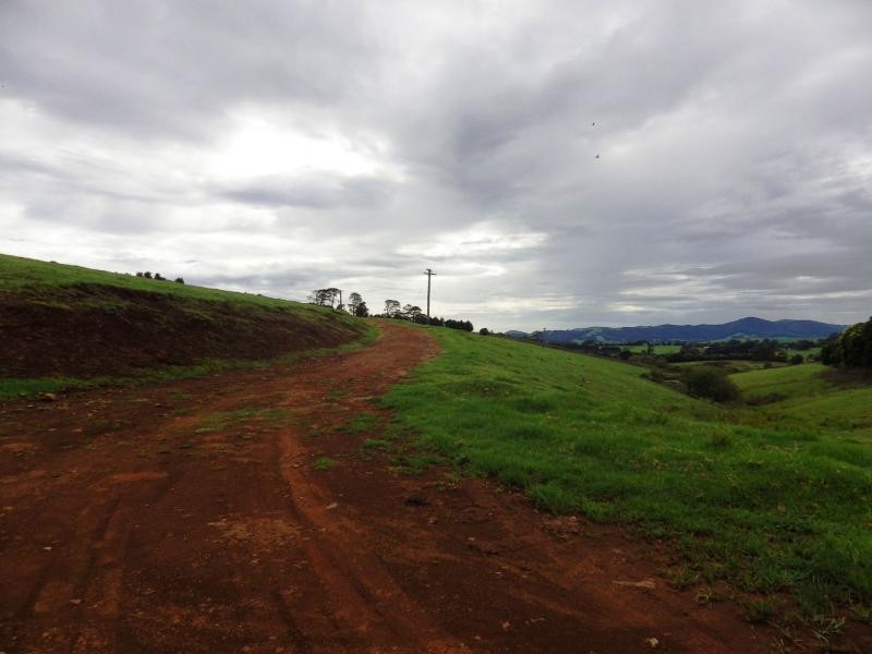 166 Old Coast Road, Dorrigo, Dorrigo NSW 2453