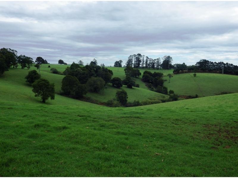 166 Old Coast Road, Dorrigo, Dorrigo NSW 2453