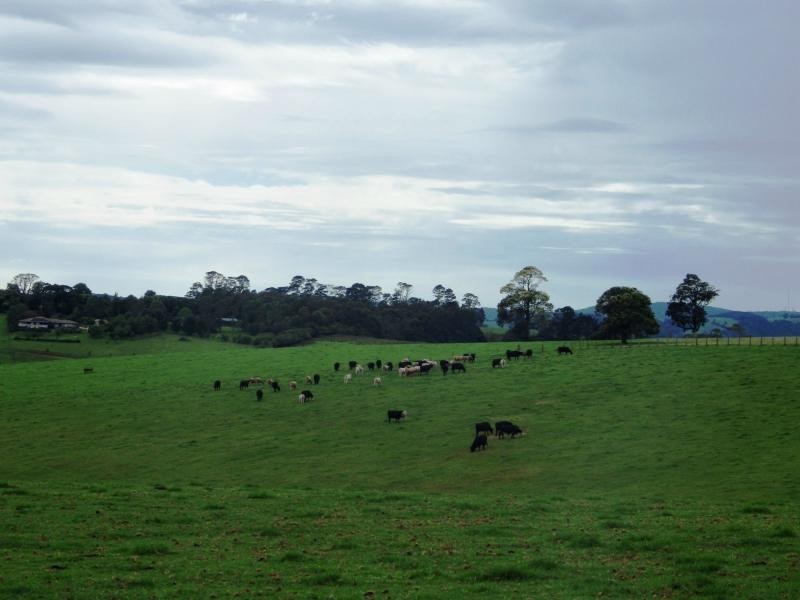 166 Old Coast Road, Dorrigo, Dorrigo NSW 2453