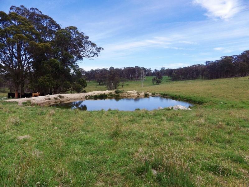 573 Everetts Road, Falconer, Falconer NSW 2365