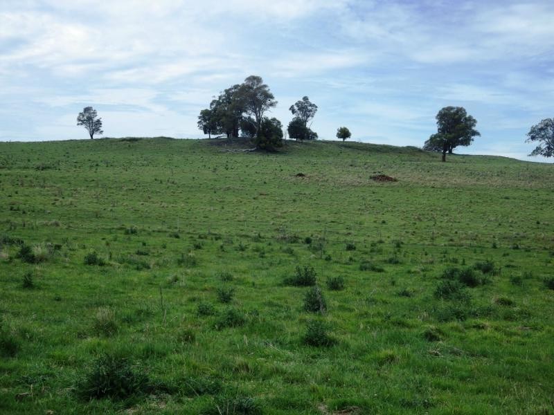 573 Everetts Road, Falconer, Falconer NSW 2365