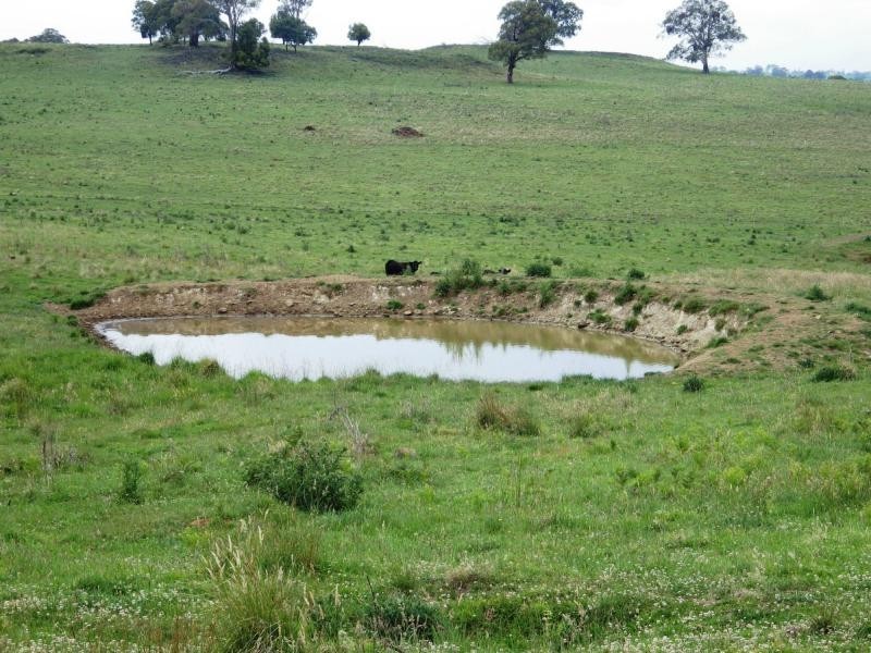 573 Everetts Road, Falconer, Falconer NSW 2365