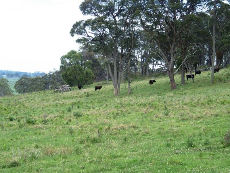 573 Everetts Road, Falconer, Falconer NSW 2365