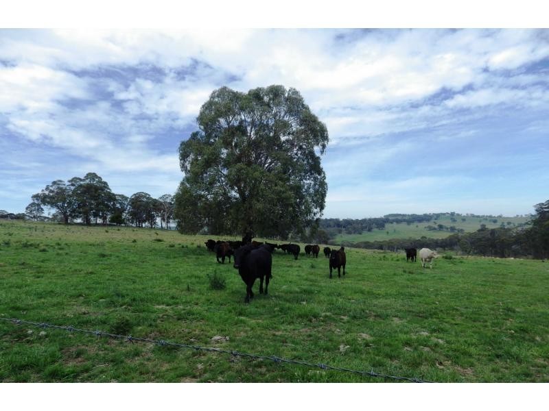 573 Everetts Road, Falconer, Falconer NSW 2365