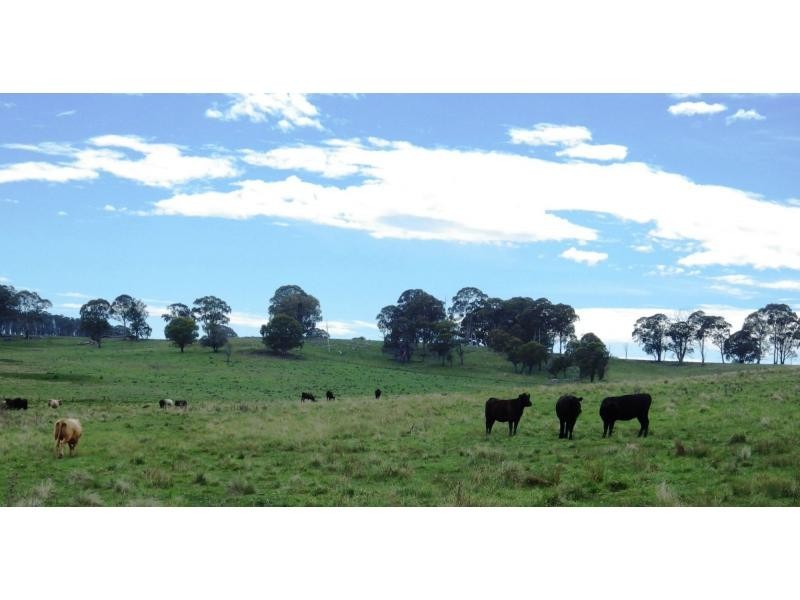 573 Everetts Road, Falconer, Falconer NSW 2365