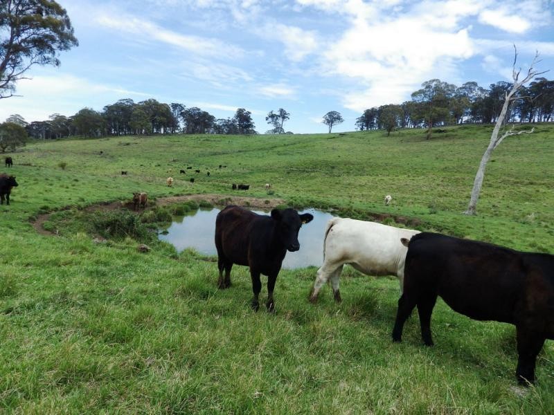 573 Everetts Road, Falconer, Falconer NSW 2365