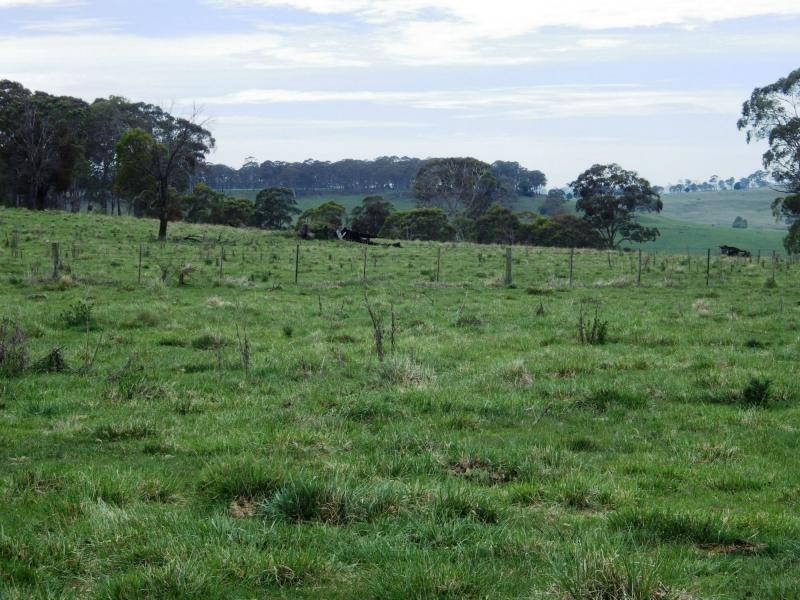 573 Everetts Road, Falconer, Falconer NSW 2365