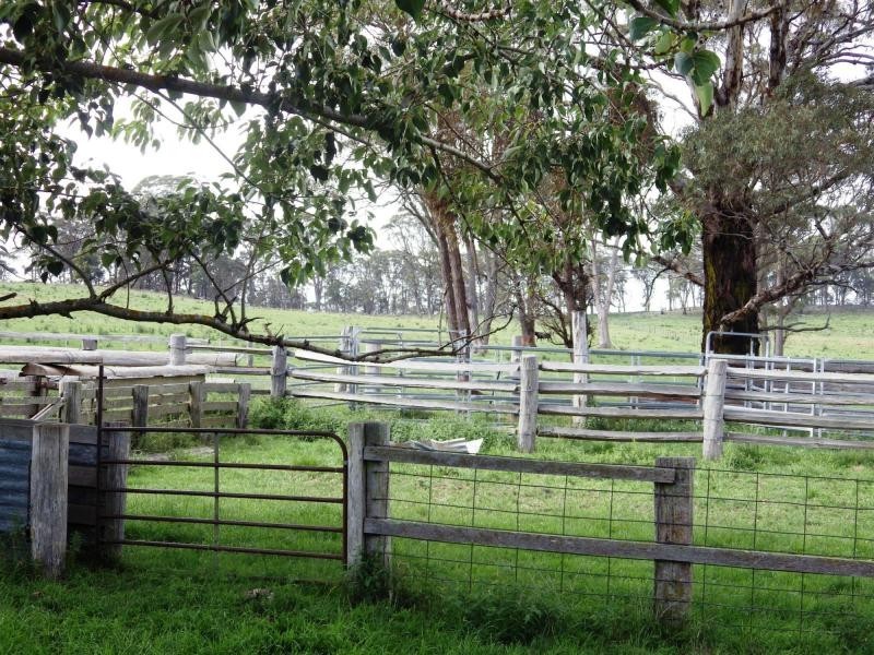 573 Everetts Road, Falconer, Falconer NSW 2365