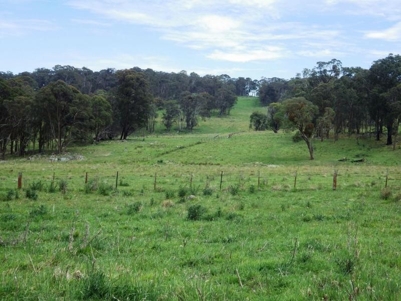 573 Everetts Road, Falconer, Falconer NSW 2365