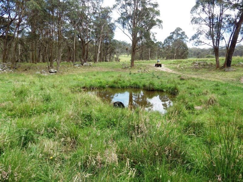 573 Everetts Road, Falconer, Falconer NSW 2365