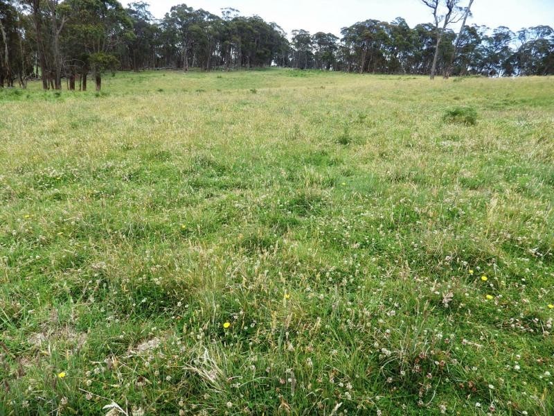 573 Everetts Road, Falconer, Falconer NSW 2365